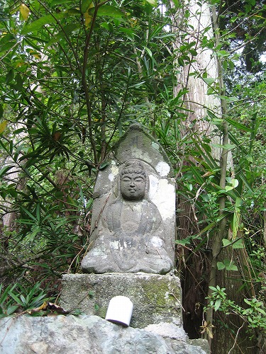 普門院8
