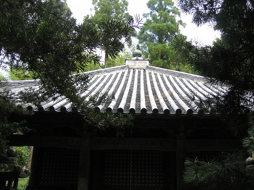 普門院10