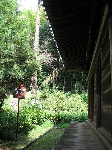 普門院14