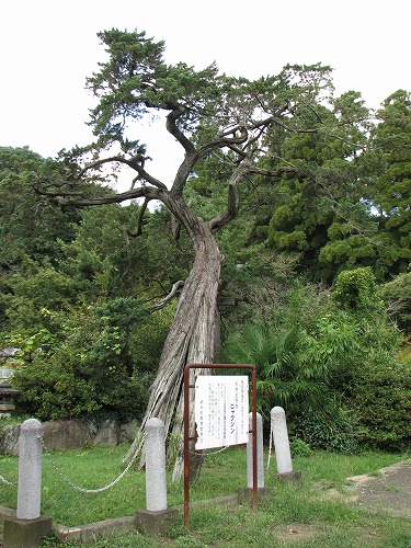 普門院21