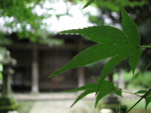 普門院19