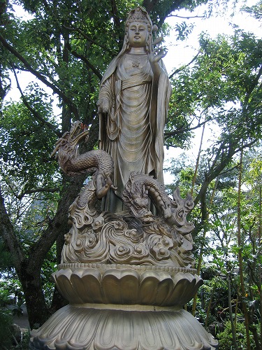金香水5