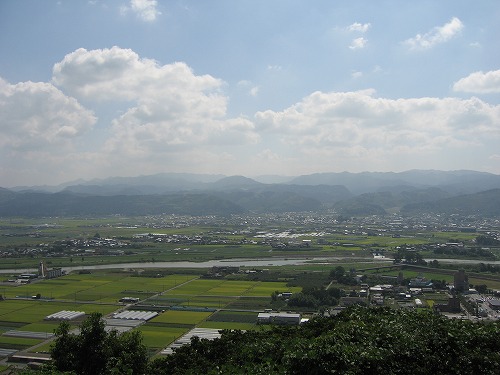 金香水9