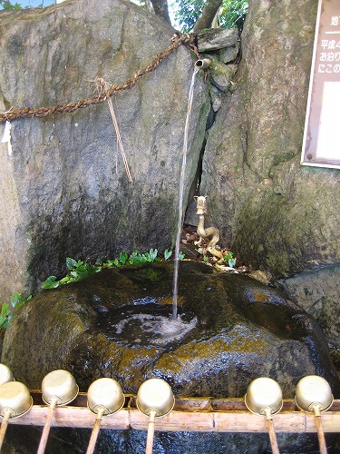 金香水1