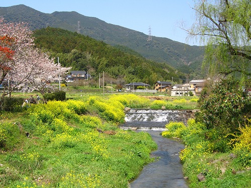 草場川1
