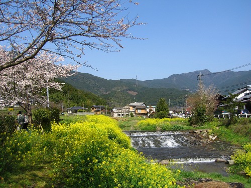 草場川2