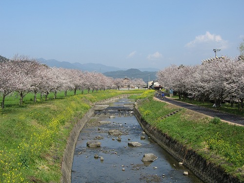 草場川6