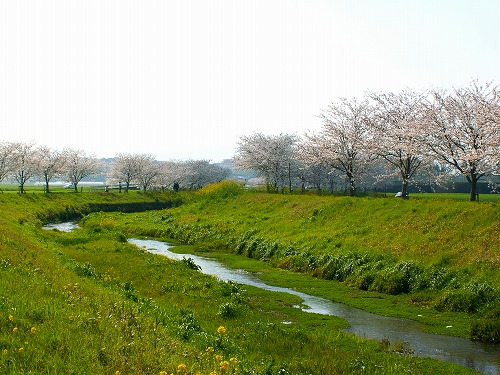草場川8