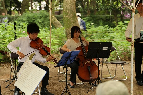紫陽花祭7