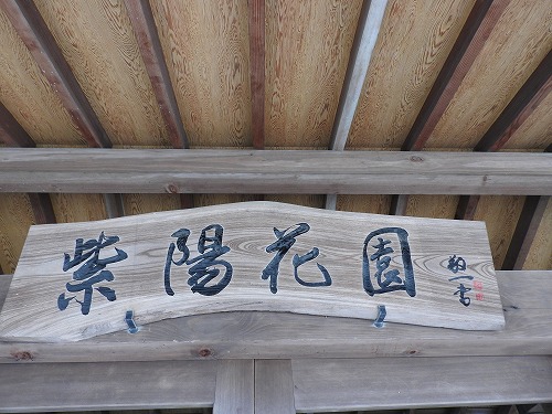 紫陽花祭1
