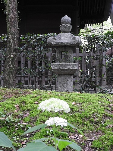 紫陽花祭26