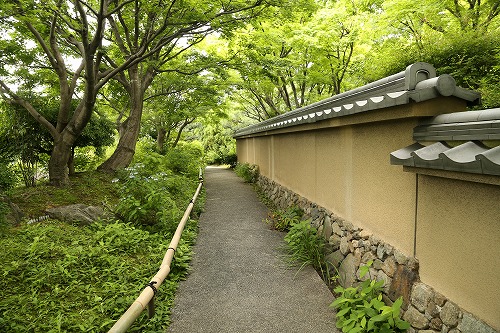 筥崎宮花庭園2
