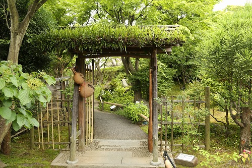 筥崎宮花庭園4