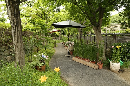 筥崎宮花庭園6