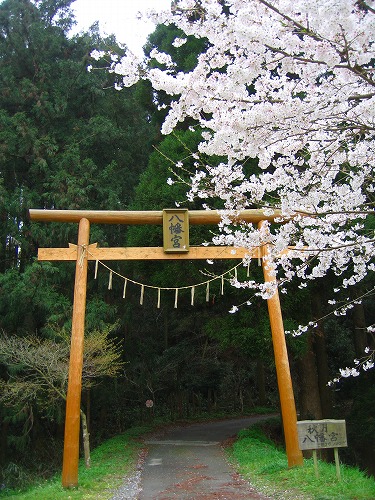 秋月八幡宮1