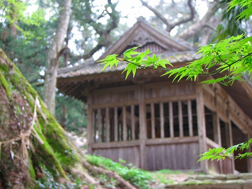秋月八幡宮5