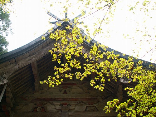 秋月八幡宮7