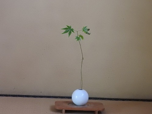 久野邸5