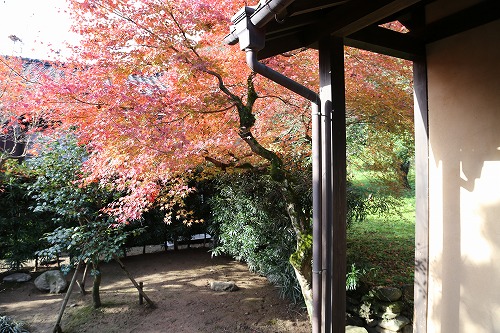 田代家4