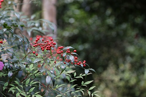 田代家5