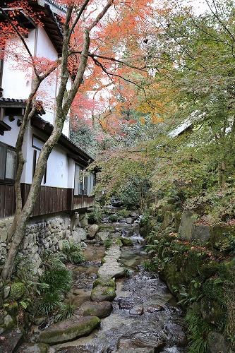清流庵10
