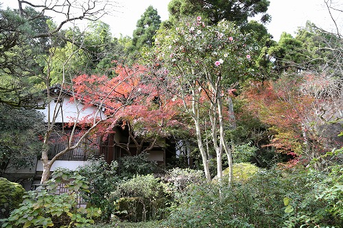 清流庵8