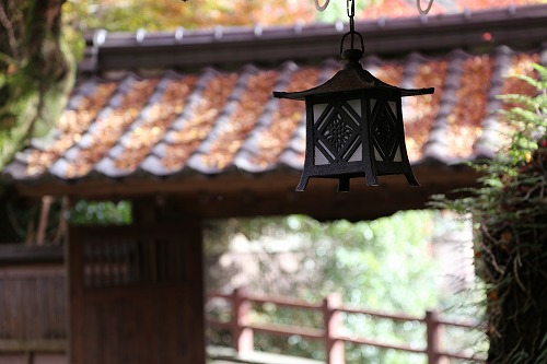 清流庵9