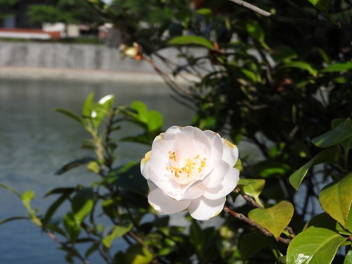紫川12