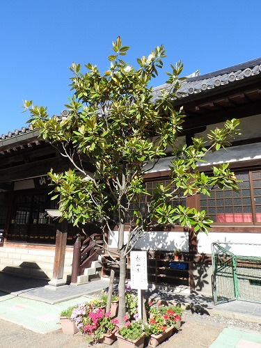 安国寺7