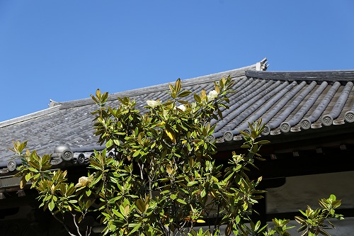 安国寺3