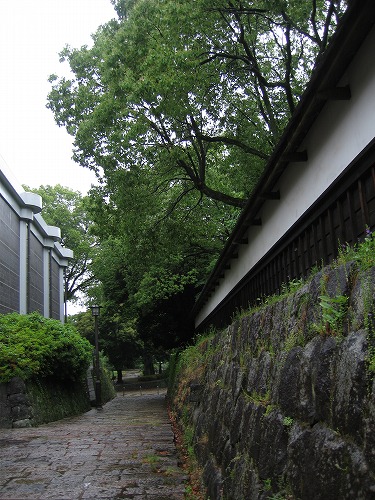 熊本博物館6