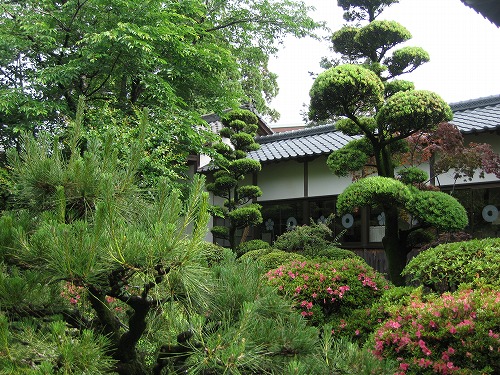 本妙寺3