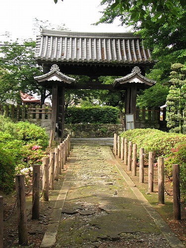 本妙寺19