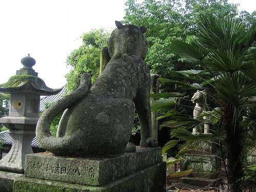 胸突雁木3