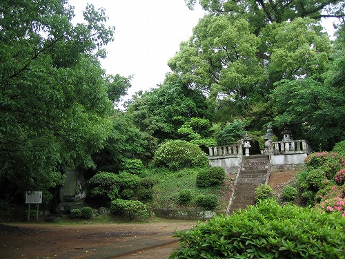 胸突雁木6