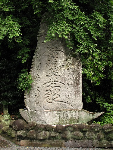 胸突雁木10