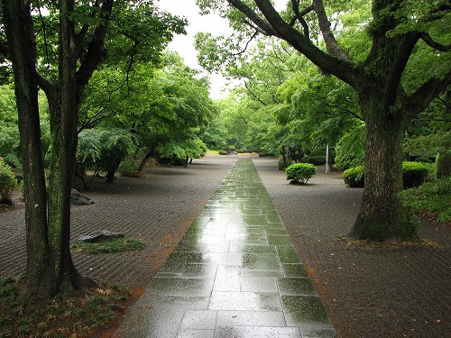 旧細川刑部邸16