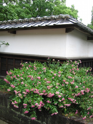 旧細川刑部邸庭10