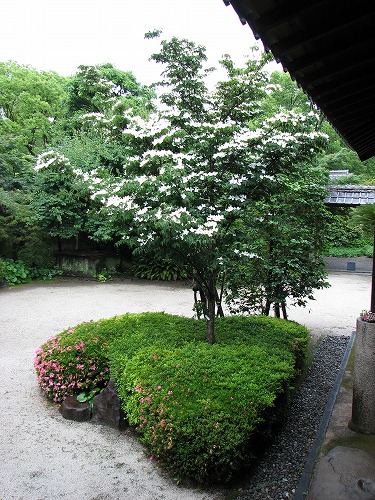 旧細川刑部邸庭11