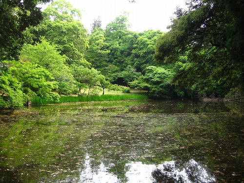 立田自然公園3