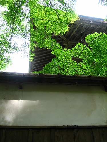 立田自然公園14