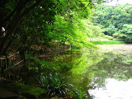 立田自然公園6