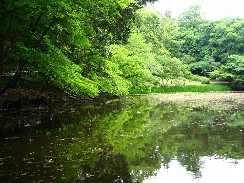 立田自然公園7