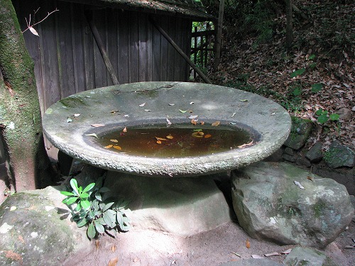 立田自然公園12
