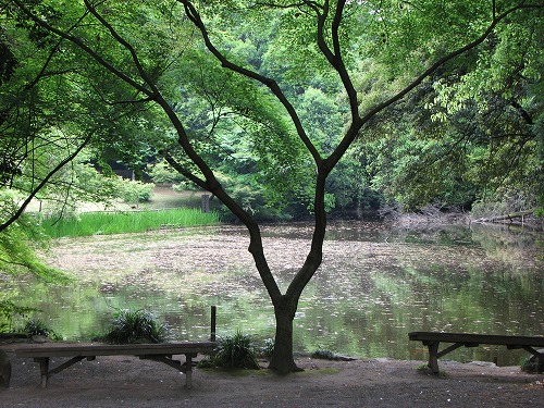 立田自然公園8