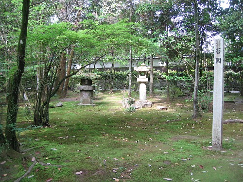 苔園1