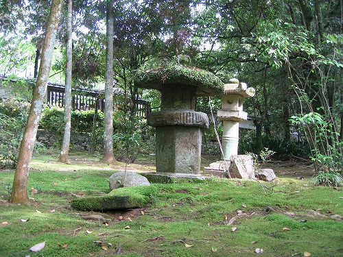 苔園2