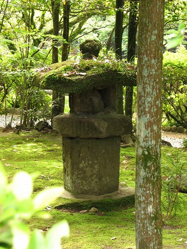 苔園7