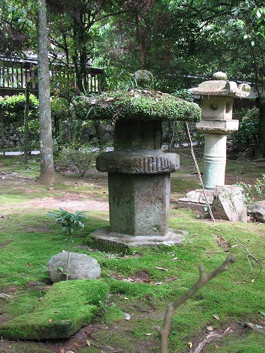 苔園8