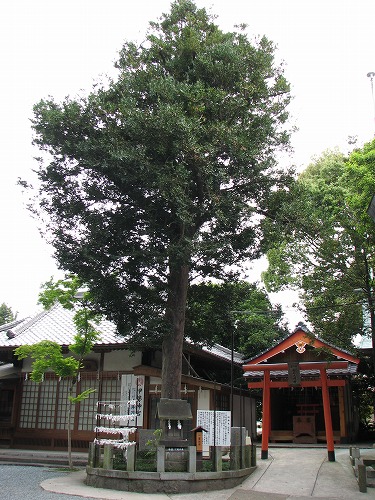 三宮神社19